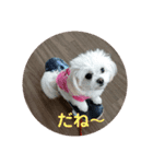 LUNA＆SEAの使える戯言？！（個別スタンプ：6）