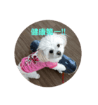 LUNA＆SEAの使える戯言？！（個別スタンプ：8）