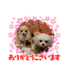 LUNA＆SEAの使える戯言？！（個別スタンプ：12）