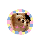 LUNA＆SEAの使える戯言？！（個別スタンプ：13）