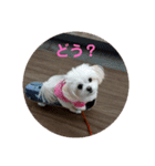 LUNA＆SEAの使える戯言？！（個別スタンプ：14）