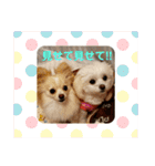 LUNA＆SEAの使える戯言？！（個別スタンプ：15）