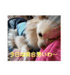 LUNA＆SEAの使える戯言？！（個別スタンプ：16）