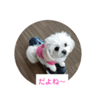 LUNA＆SEAの使える戯言？！（個別スタンプ：18）