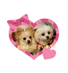 LUNA＆SEAの使える戯言？！（個別スタンプ：19）