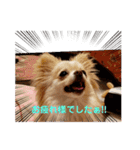 LUNA＆SEAの使える戯言？！（個別スタンプ：20）
