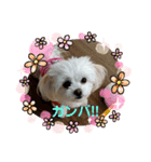 LUNA＆SEAの使える戯言？！（個別スタンプ：21）