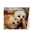 LUNA＆SEAの使える戯言？！（個別スタンプ：22）