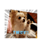 LUNA＆SEAの使える戯言？！（個別スタンプ：24）