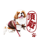 キャバリア♂ライト_毎日ゆるカワ 漢字ver.（個別スタンプ：21）