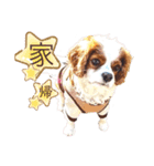 キャバリア♂ライト_毎日ゆるカワ 漢字ver.（個別スタンプ：29）