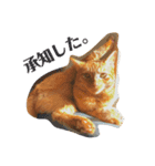 わりと使いやすい猫（個別スタンプ：3）