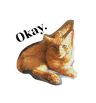 わりと使いやすい猫（個別スタンプ：4）