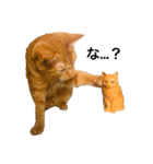 わりと使いやすい猫（個別スタンプ：5）