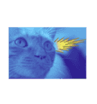 わりと使いやすい猫（個別スタンプ：11）