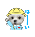 はなちゃんと時々こっちゃん（個別スタンプ：6）