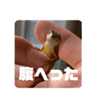 我ら生きたち（個別スタンプ：6）