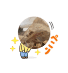 我ら生きたち（個別スタンプ：17）