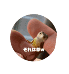 我ら生きたち（個別スタンプ：23）