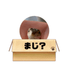 我ら生きたち（個別スタンプ：25）