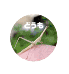 我ら生きたち（個別スタンプ：27）