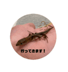 我ら生きたち（個別スタンプ：29）