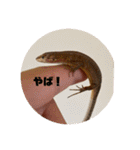 我ら生きたち（個別スタンプ：34）