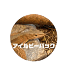 我ら生きたち（個別スタンプ：35）
