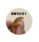 我ら生きたち（個別スタンプ：40）
