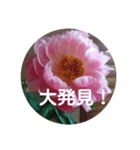 家族で対話（個別スタンプ：6）