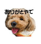 ブランくん2（個別スタンプ：4）