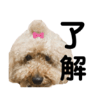 ブランくん2（個別スタンプ：24）
