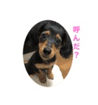 マロくんと一緒（個別スタンプ：7）