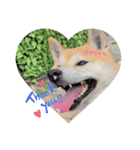 ‪‪❤︎‬Hidechan·smile‪‪❤︎‬（個別スタンプ：1）