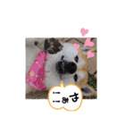‪‪❤︎‬Hidechan·smile‪‪❤︎‬（個別スタンプ：5）