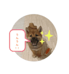 ‪‪❤︎‬Hidechan·smile‪‪❤︎‬（個別スタンプ：6）