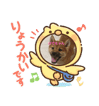 ‪‪❤︎‬Hidechan·smile‪‪❤︎‬（個別スタンプ：7）