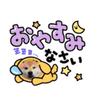 ‪‪❤︎‬Hidechan·smile‪‪❤︎‬（個別スタンプ：10）