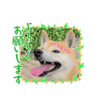 ‪‪❤︎‬Hidechan·smile‪‪❤︎‬（個別スタンプ：11）