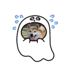 ‪‪❤︎‬Hidechan·smile‪‪❤︎‬（個別スタンプ：15）