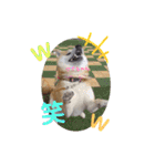 ‪‪❤︎‬Hidechan·smile‪‪❤︎‬（個別スタンプ：16）