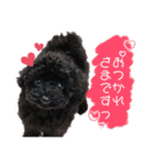 Suaちゃんstamp（個別スタンプ：1）
