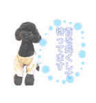 Suaちゃんstamp（個別スタンプ：5）