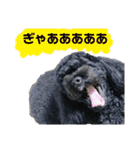 Suaちゃんstamp（個別スタンプ：7）