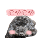 Suaちゃんstamp（個別スタンプ：8）