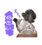 Suaちゃんstamp（個別スタンプ：9）