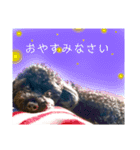 Suaちゃんstamp（個別スタンプ：19）