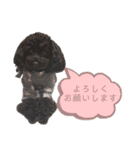 Suaちゃんstamp（個別スタンプ：22）