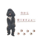 Suaちゃんstamp（個別スタンプ：23）