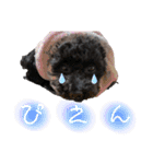 Suaちゃんstamp（個別スタンプ：24）